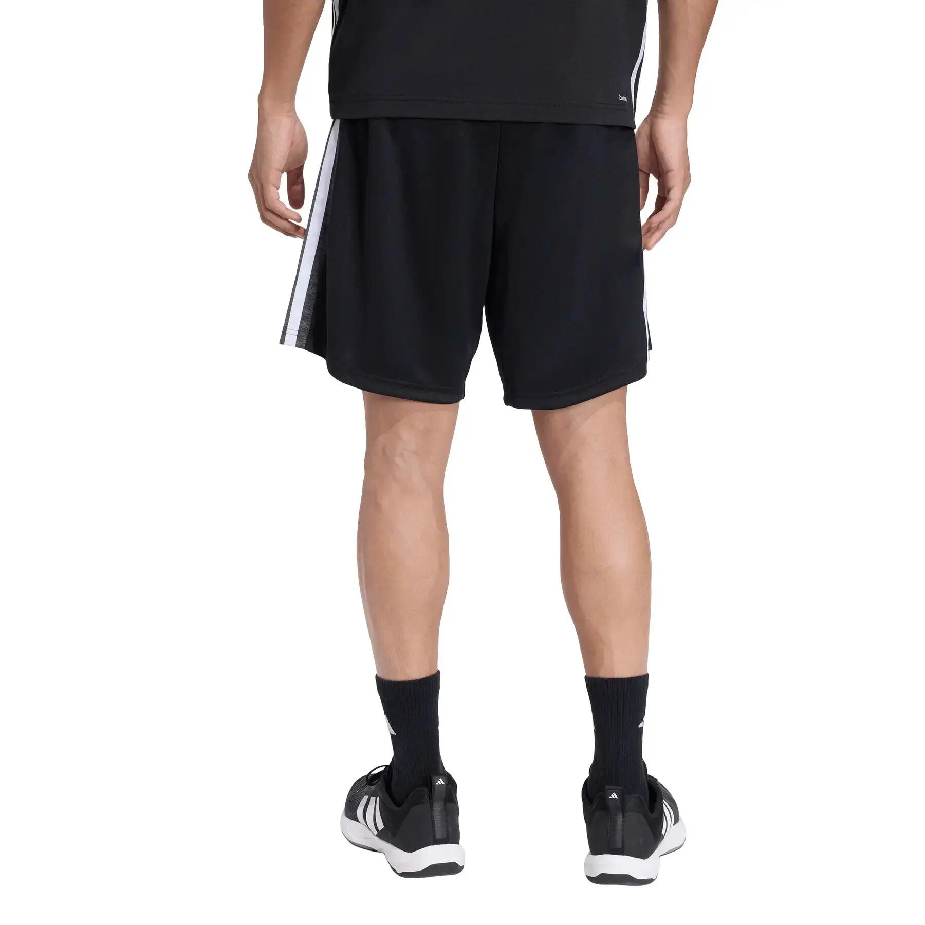 Korte adidas Workout Essentials All-Set 3-Stripes Knit Korte 3/6