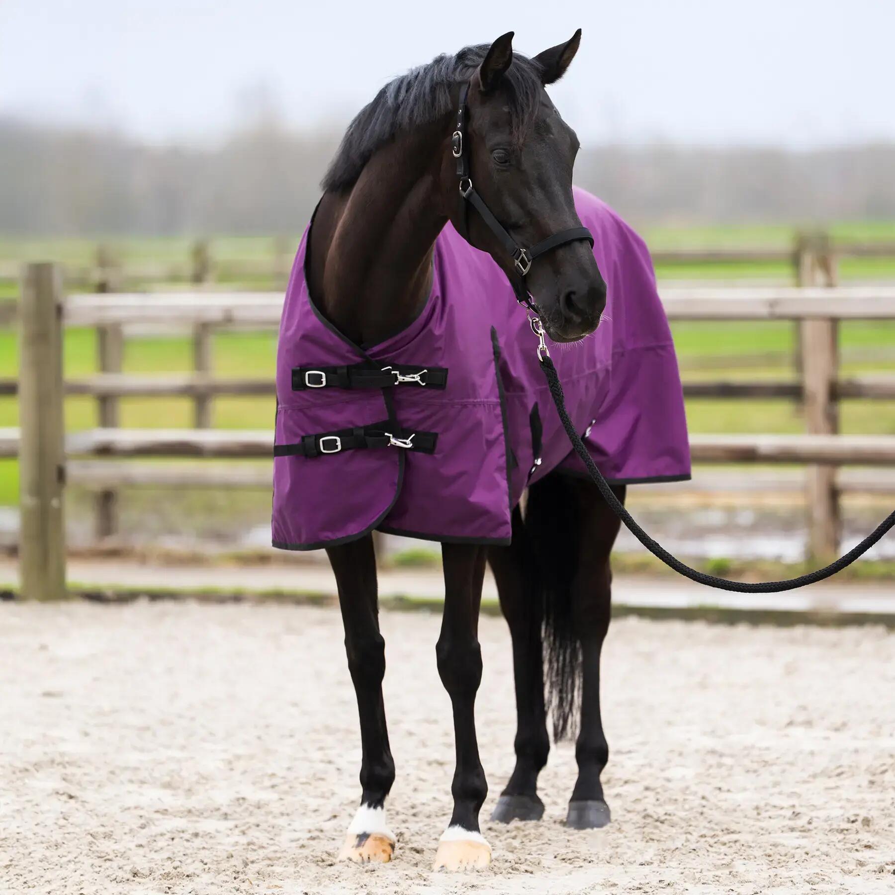 Coperta da paddock per cavalli Imperial Riding Limited 100 g 2/5