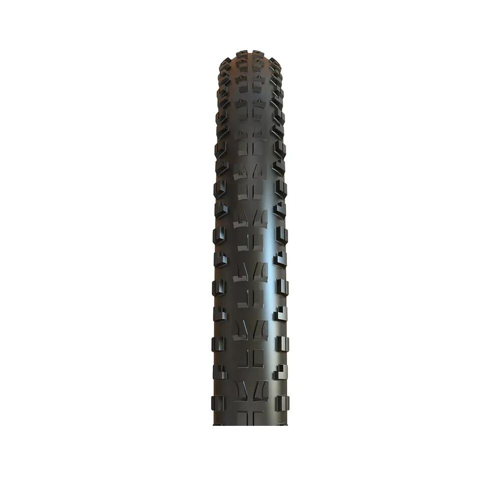 Pneu de vélo Maxxis Minion DHF Tubeless Argent 2/3