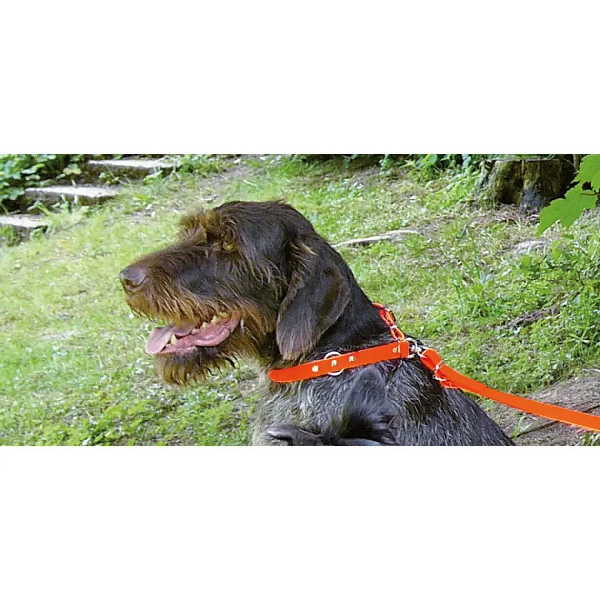 Halsband voor hond met lus Akah BioThane 3/3