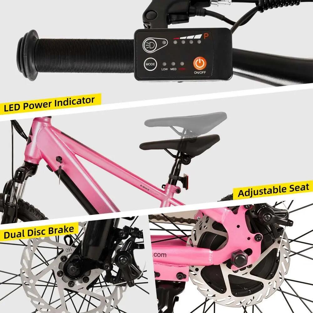 Kinder Jugendliche E-Mountainbike 20/24 Zoll 250W Akku 5/6