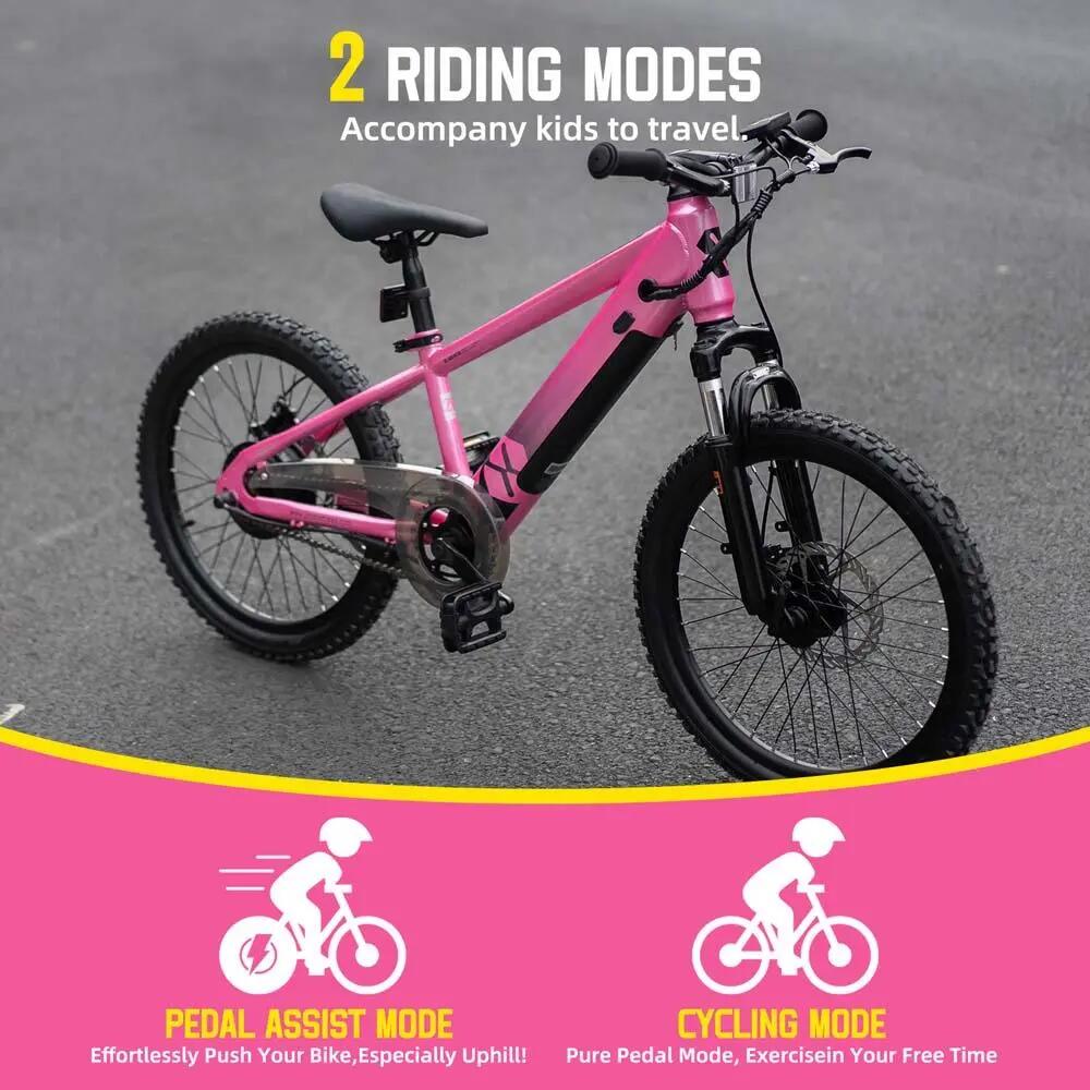 Kinder Jugendliche E-Mountainbike 20/24 Zoll 250W Akku 4/6