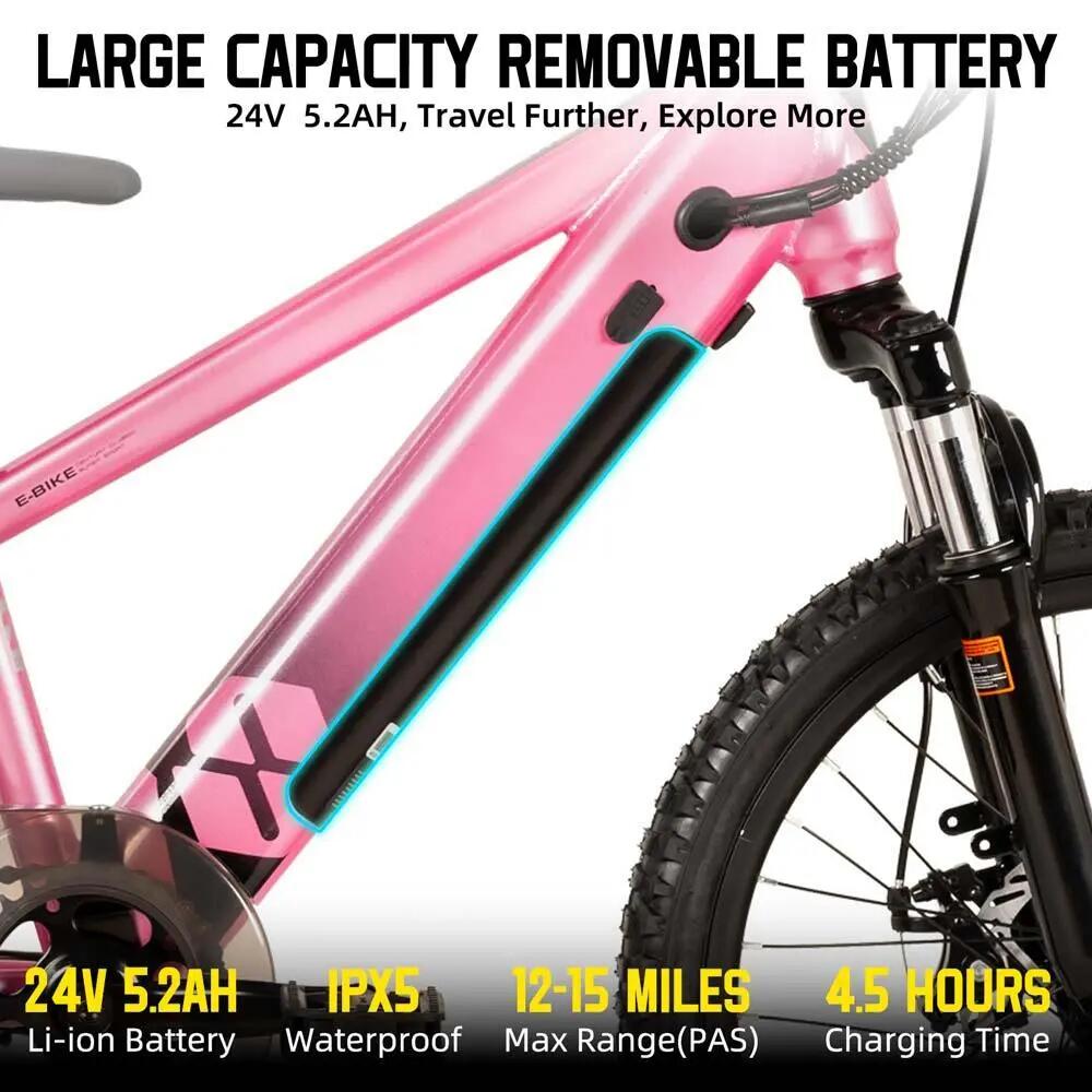 Kinder Jugendliche E-Mountainbike 20/24 Zoll 250W Akku 3/6