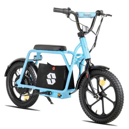 Enfant Draisienne Électrique 16 pouces 250W 24V Batterie Amovible