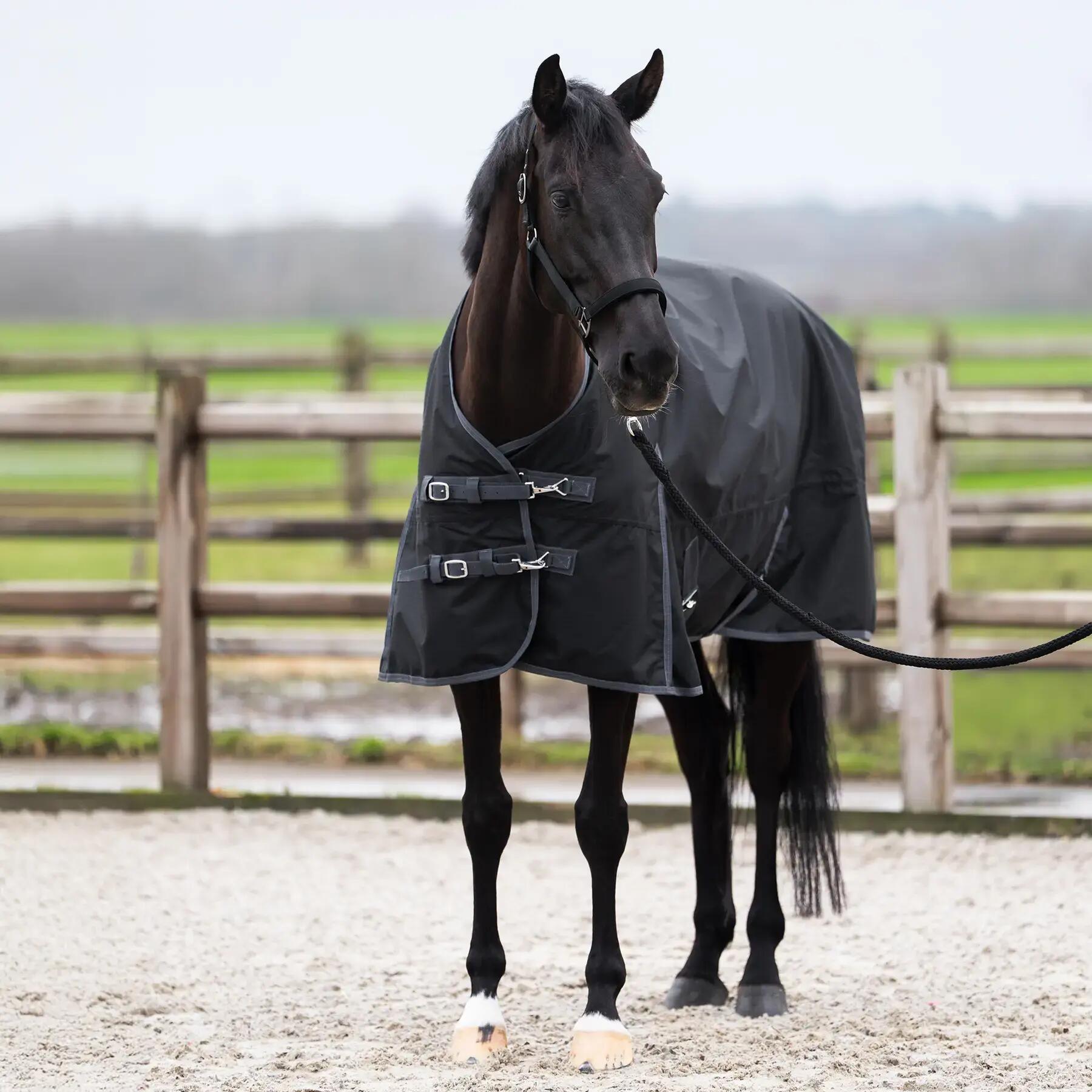 Outdoor-Decke für Pferde mit Halsabdeckung Imperial Riding Limited 300g 2/5
