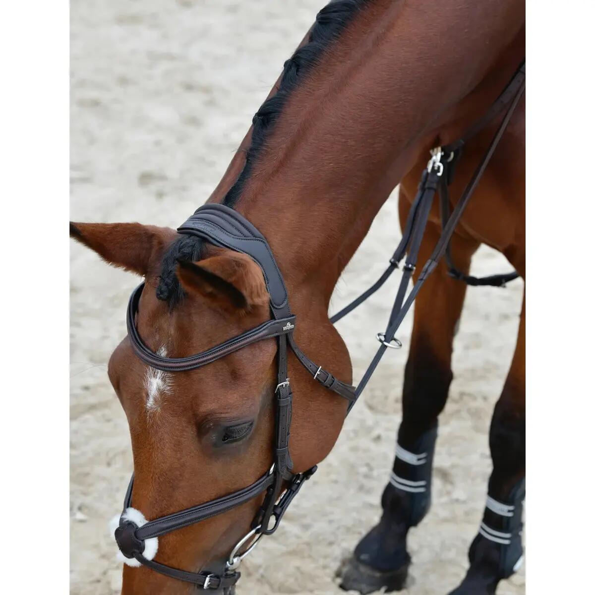 Bridon équitation de quiscale rembourrée Collegiate Comfitec Opulux 4/5