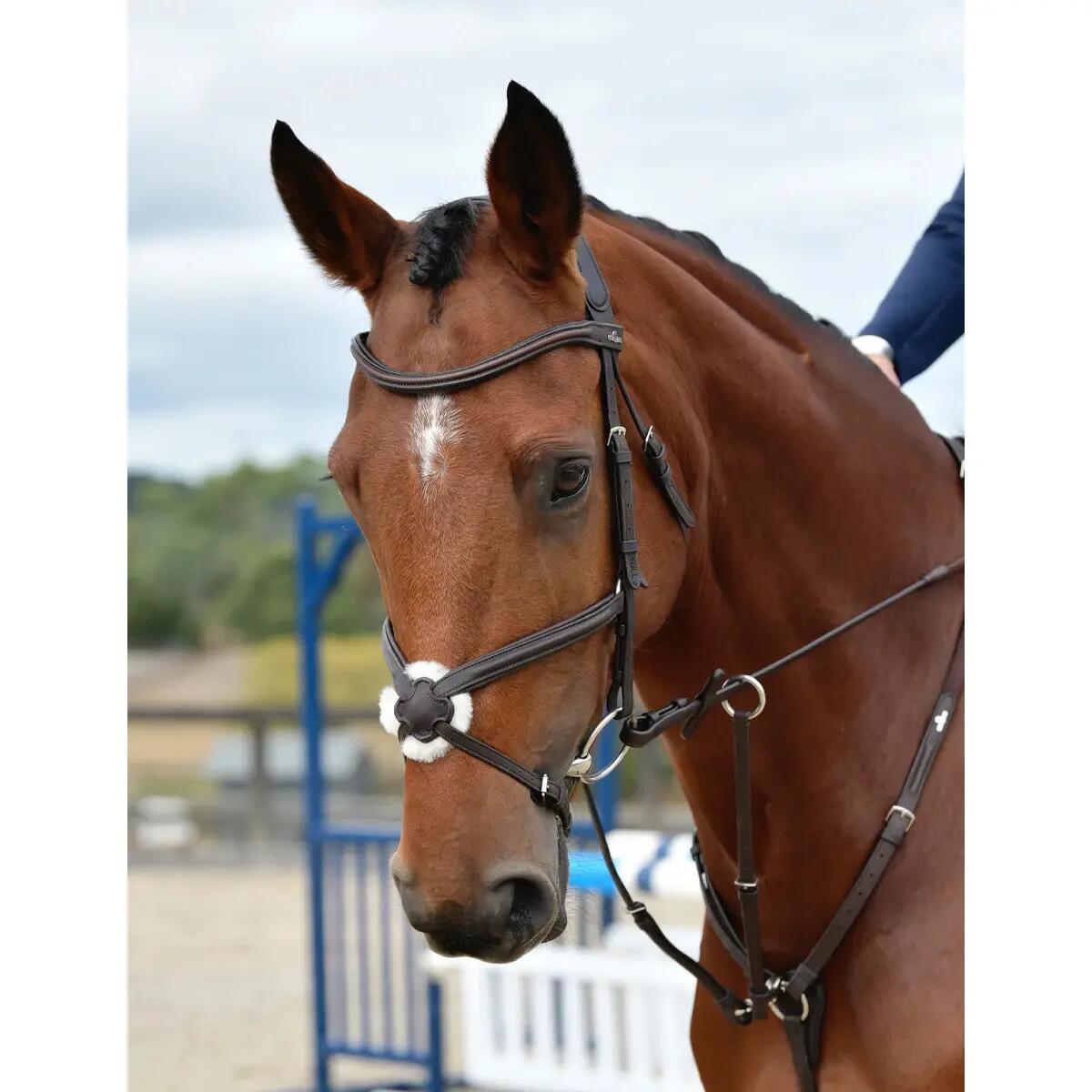 Bridon équitation de quiscale rembourrée Collegiate Comfitec Opulux 3/5