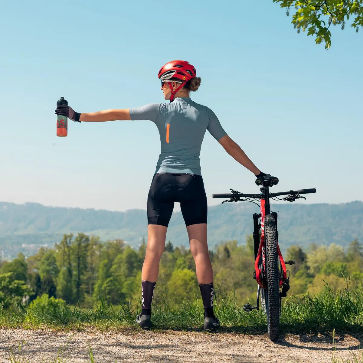 Bouteille d'eau Sigg Pulsar Therm Frost 5/9