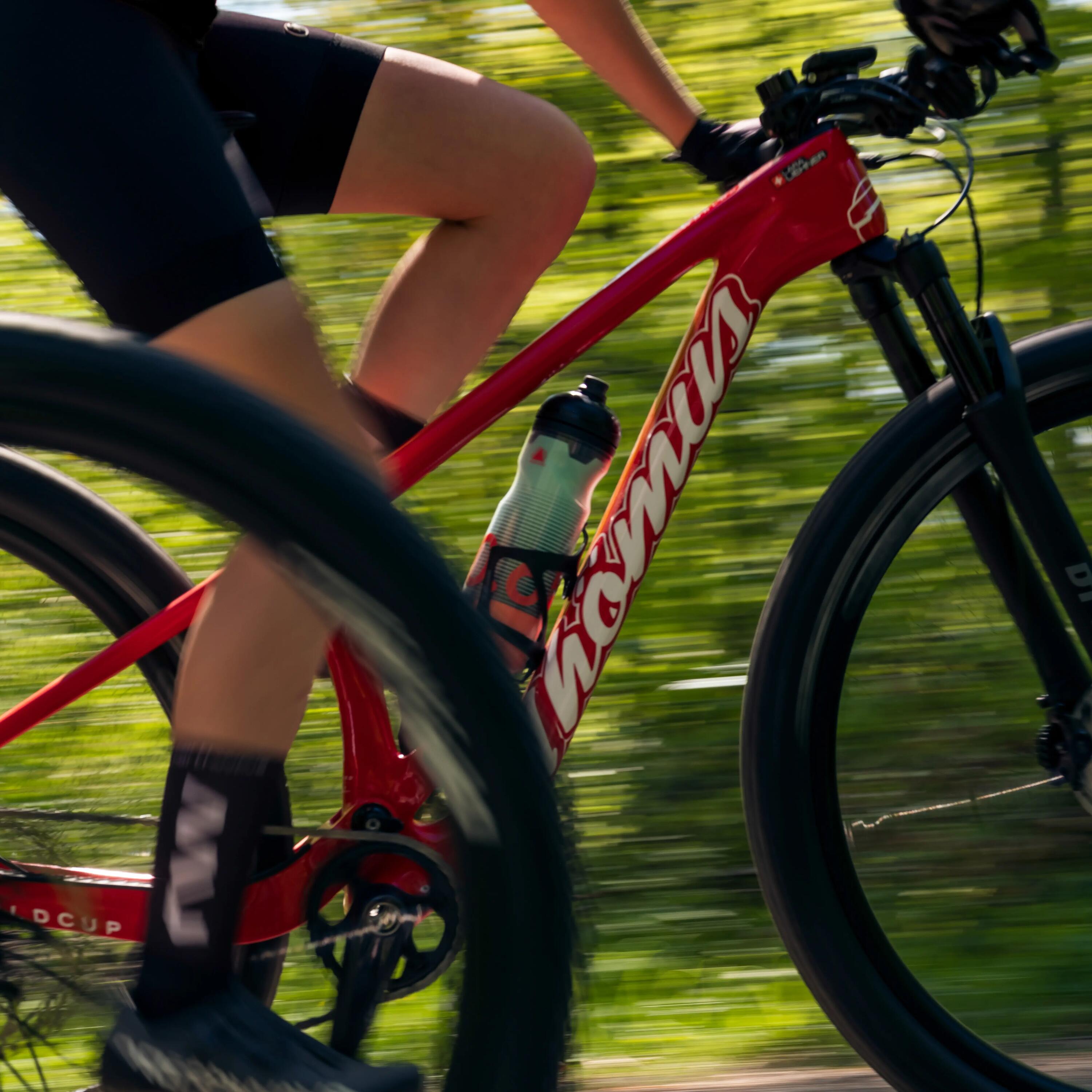 Bouteille d'eau Sigg Pulsar Therm Frost 4/9