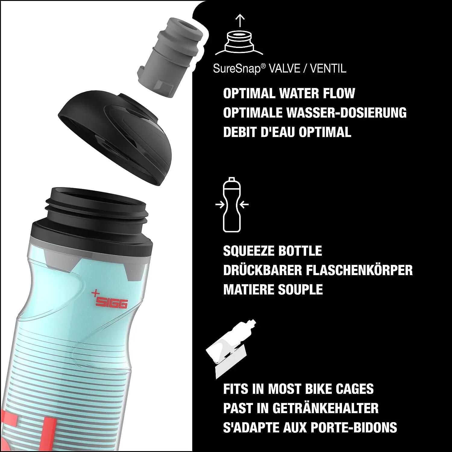 Bouteille d'eau Sigg Pulsar Therm Frost 3/9
