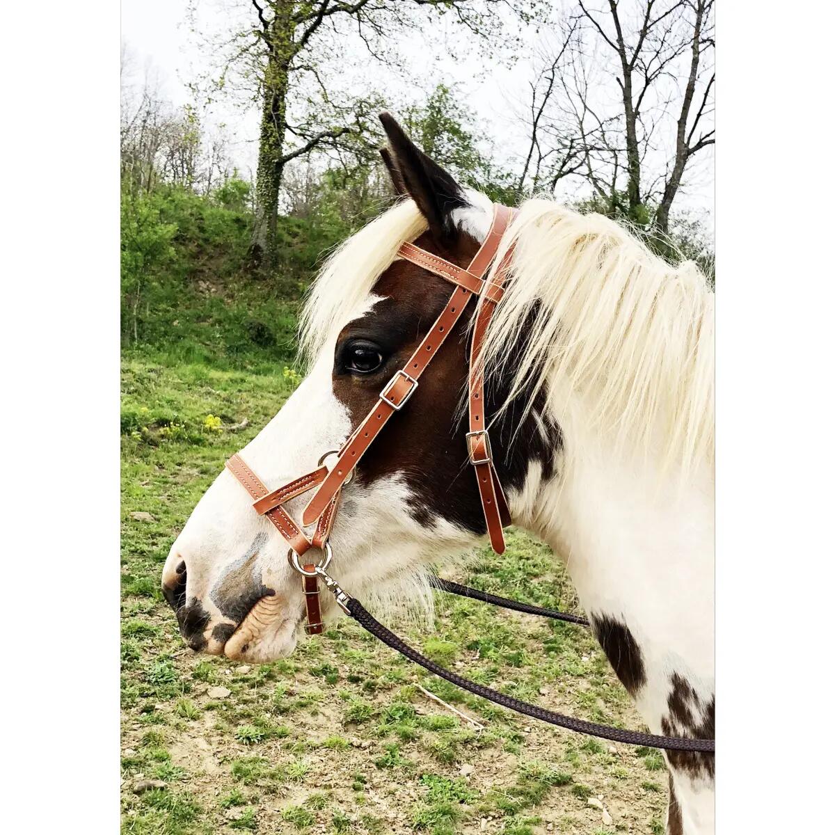 Side pull per cavallo in pelle Ronzon Legend 2/2