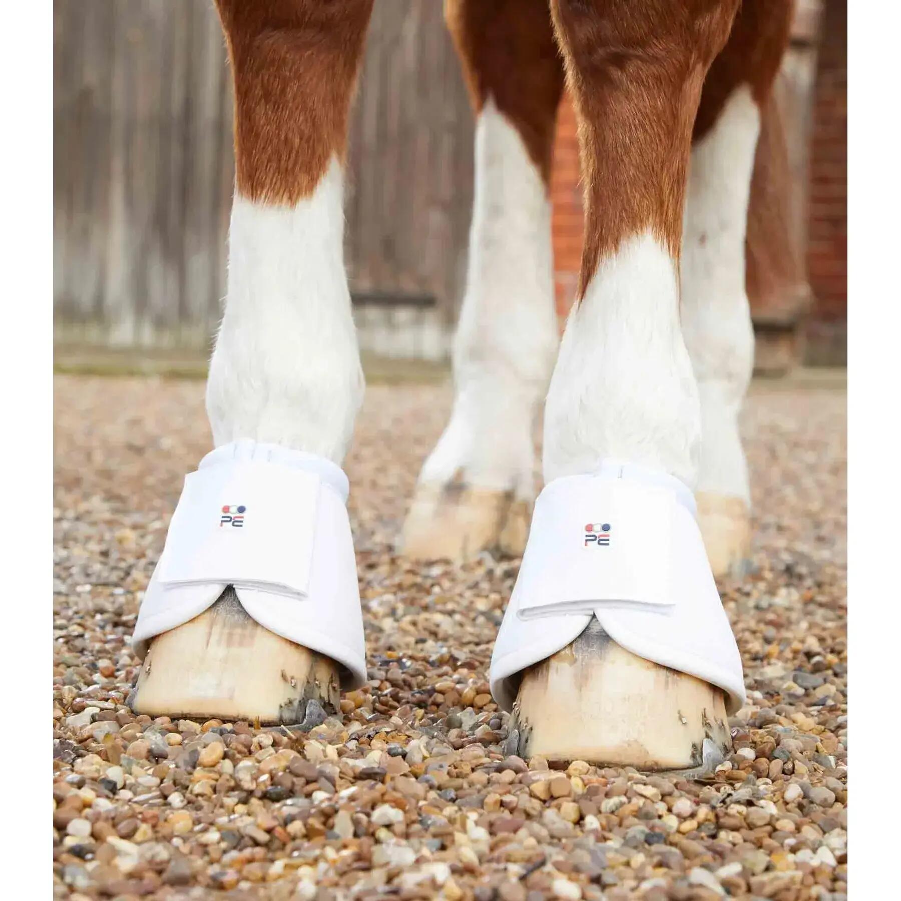 PREMIER EQUINE picture