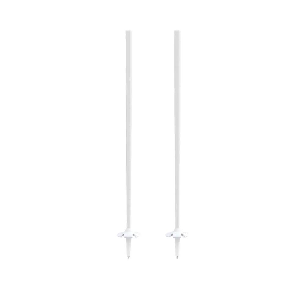 Bastones de esquí Atomic AMT Carbon 4/9