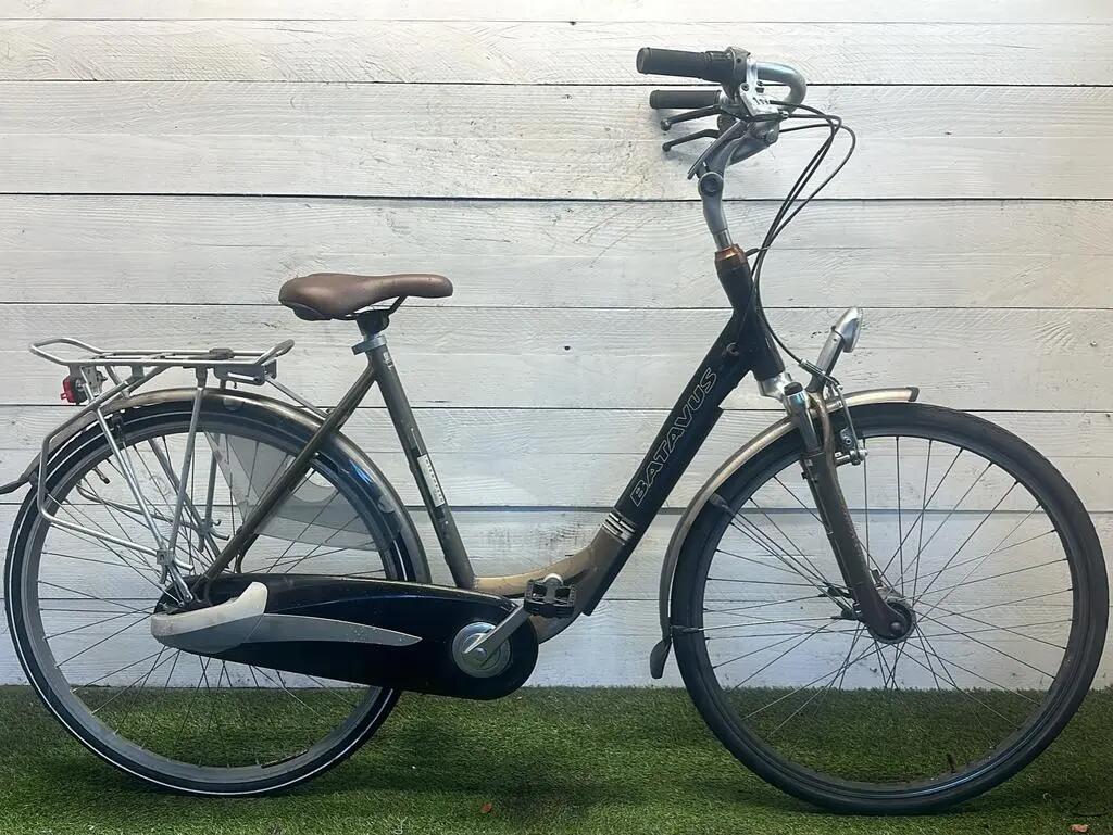 BATAVUS picture