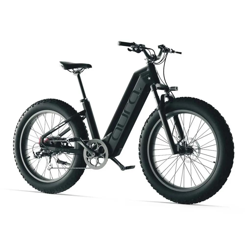 Bici elettrica per adulti Aura, pneumatico 26×4,0", batteria da 52V 15Ah 3/8