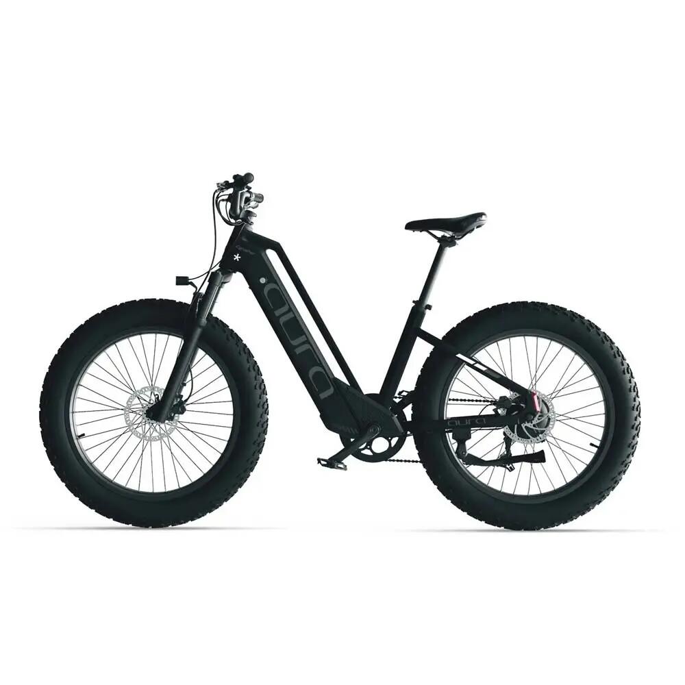 Bici elettrica per adulti Aura, pneumatico 26×4,0", batteria da 52V 15Ah 2/8