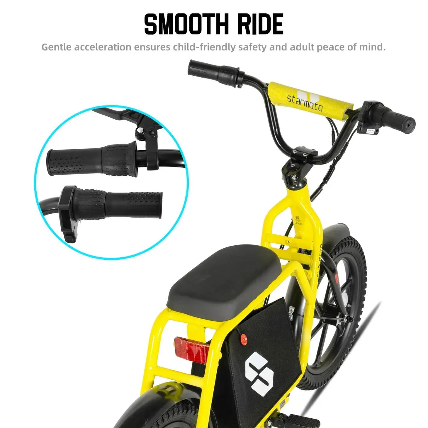 Kinder Elektrische Loopfiets 16 inch 250W 24V Uitneembare Accu 6/7