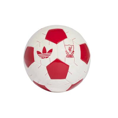 Mini voetbal buiten liverpool fc