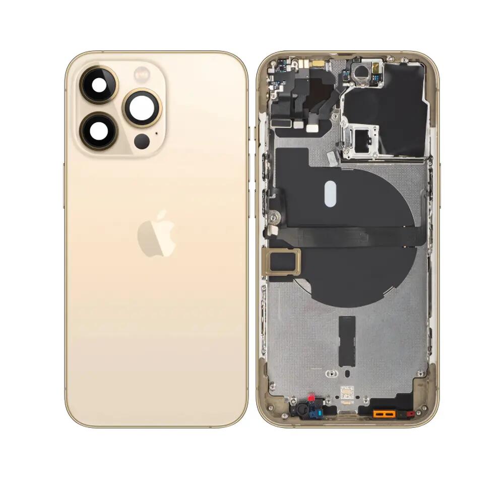 APPLE picture