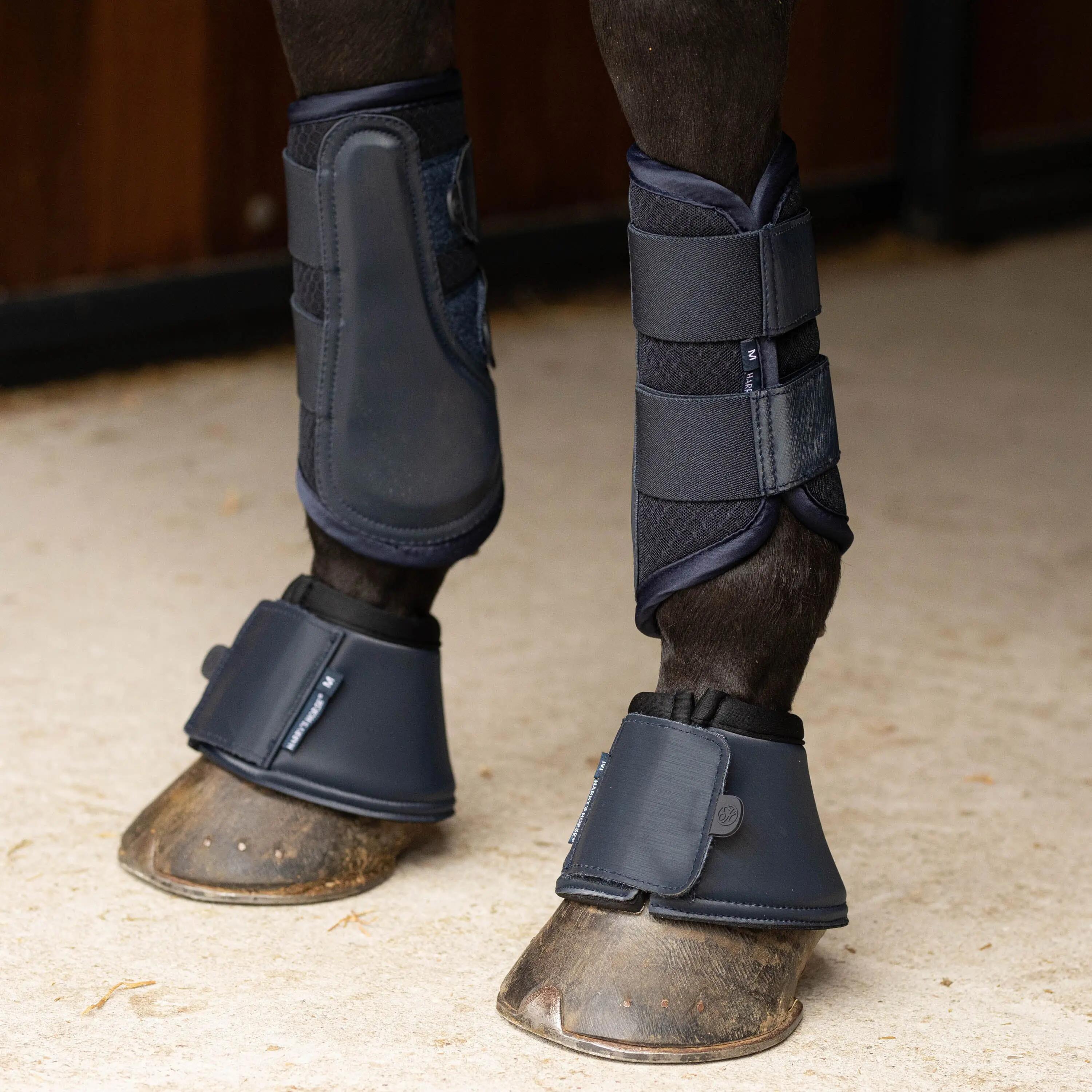 HARRYS HORSE picture