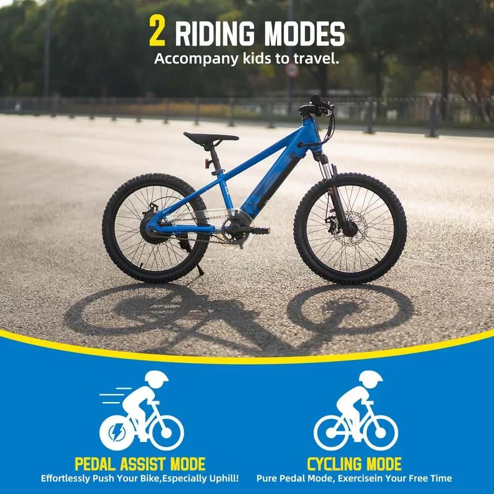 Kinder Jugendliche E-Mountainbike 20/24 Zoll 250W Akku 4/6