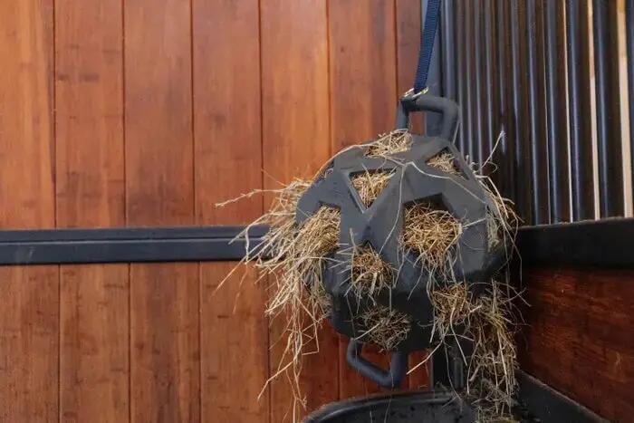 KENTUCKY HORSEWEAR picture