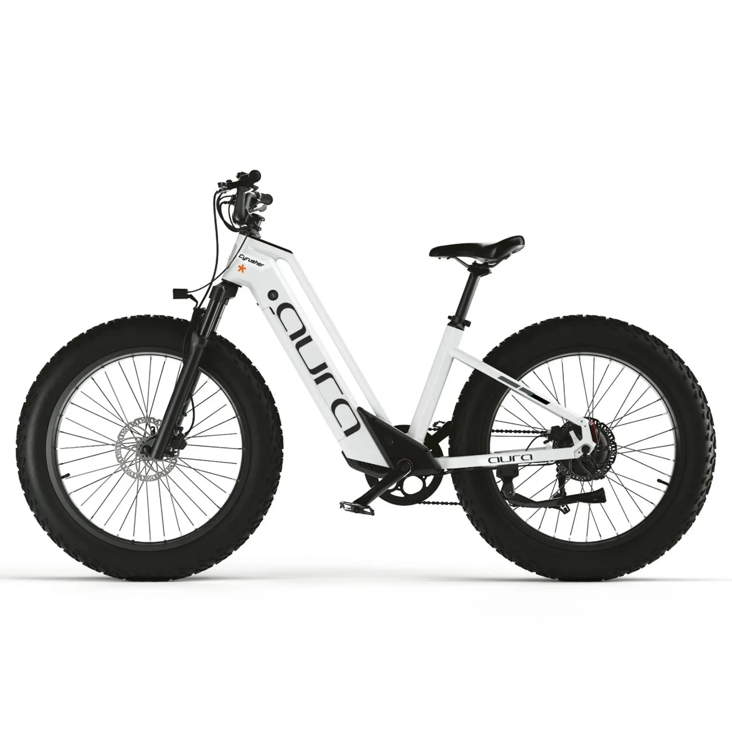 City-E-Bike Cyrusher Aura 52V 15Ah Akku 95N·m 2/4