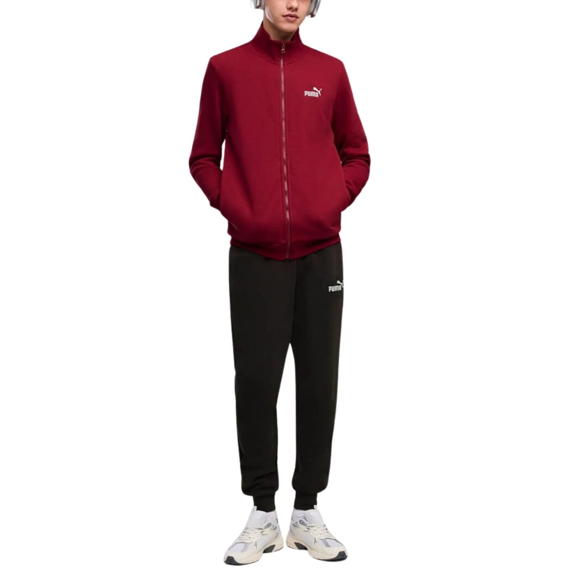 PUMA picture