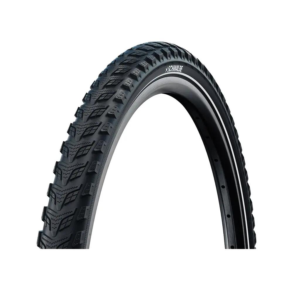 SCHWALBE picture