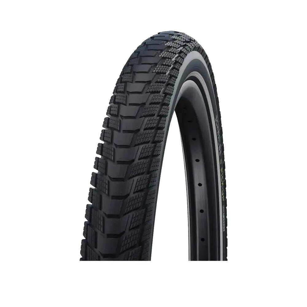 SCHWALBE picture