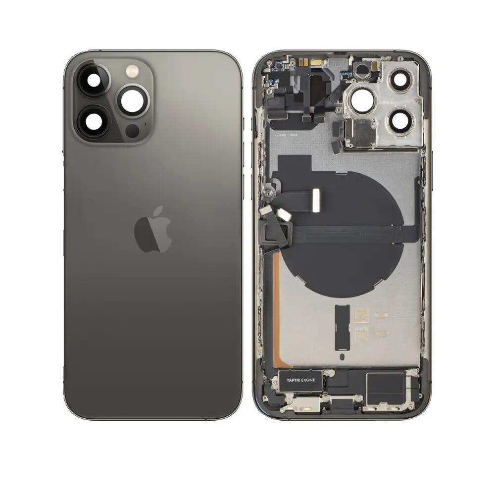 APPLE picture