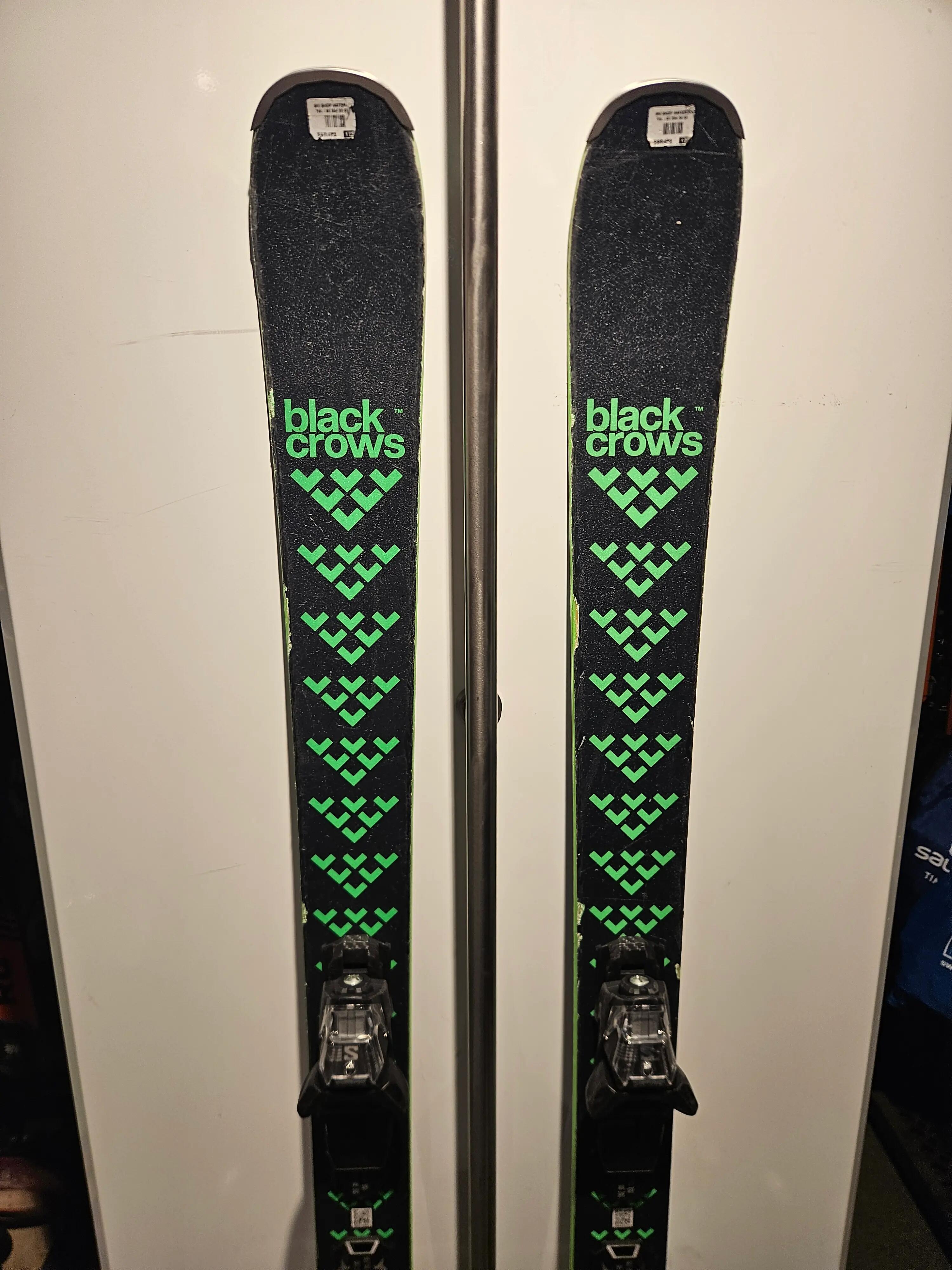 BLACK CROWS picture