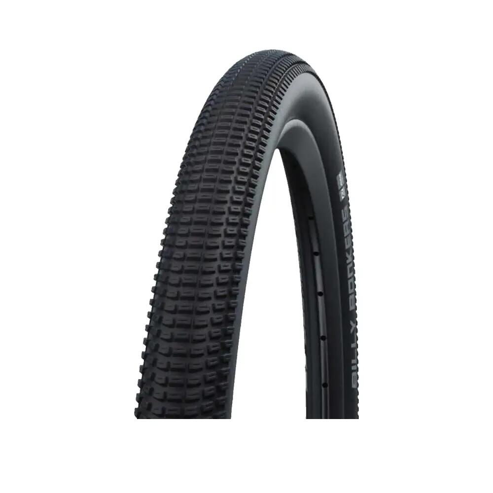 SCHWALBE picture