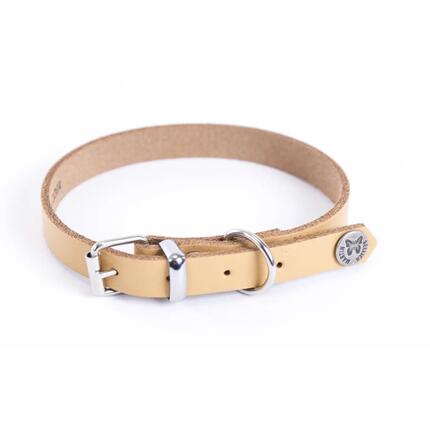 Collier pour chien en cuir Martin Sellier