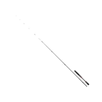 Canne à pêche Daiwa Steez AGS Carbone Noir
