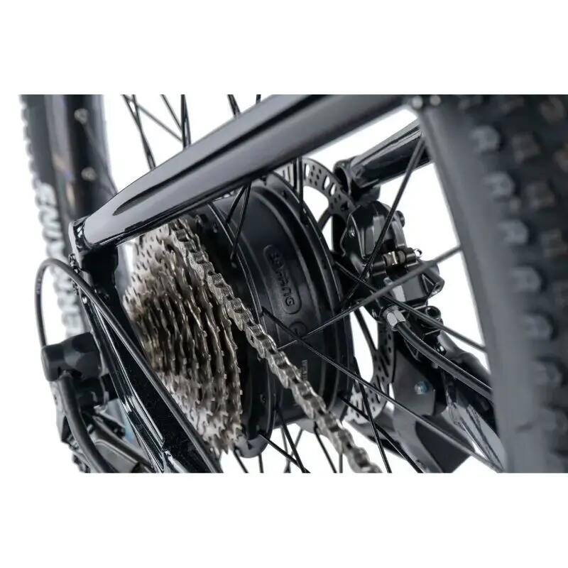 Electric bike Leader Fox Arimo 2024 4/6