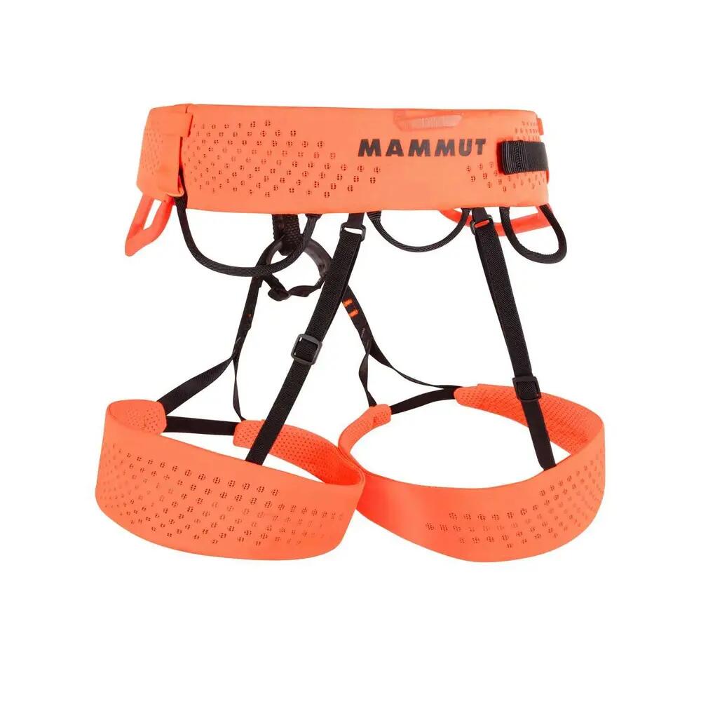 Harnais d'escalade Mammut Sender léger 2/6