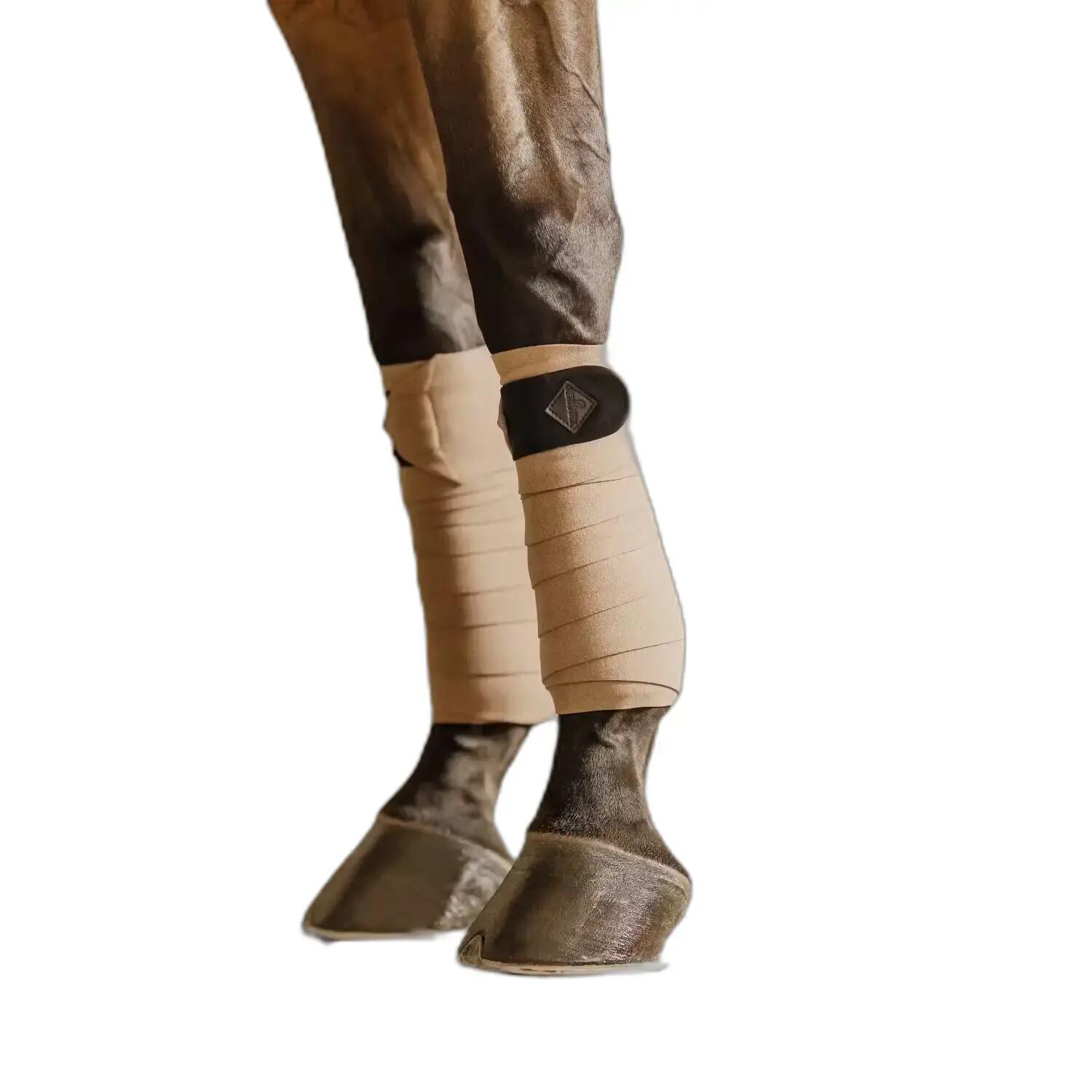 KENTUCKY HORSEWEAR picture