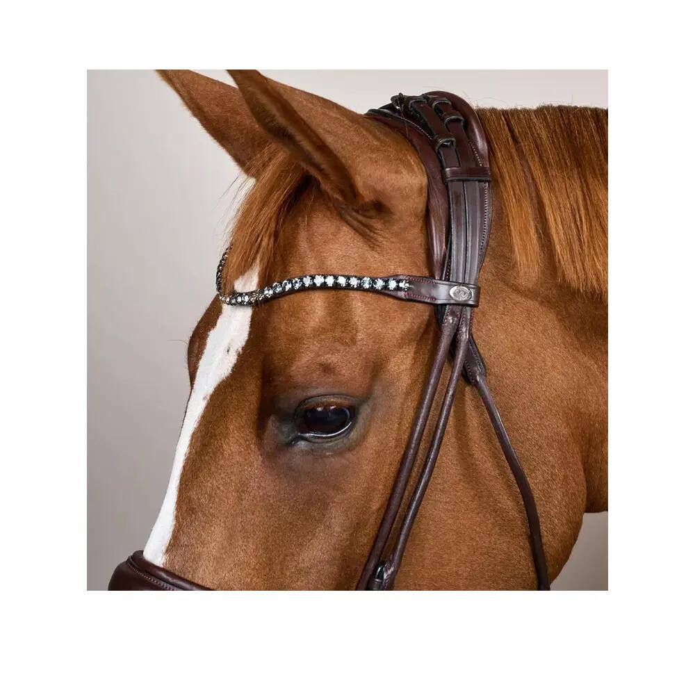 Bridon Dyon grote neusriem leer bruin 5/6