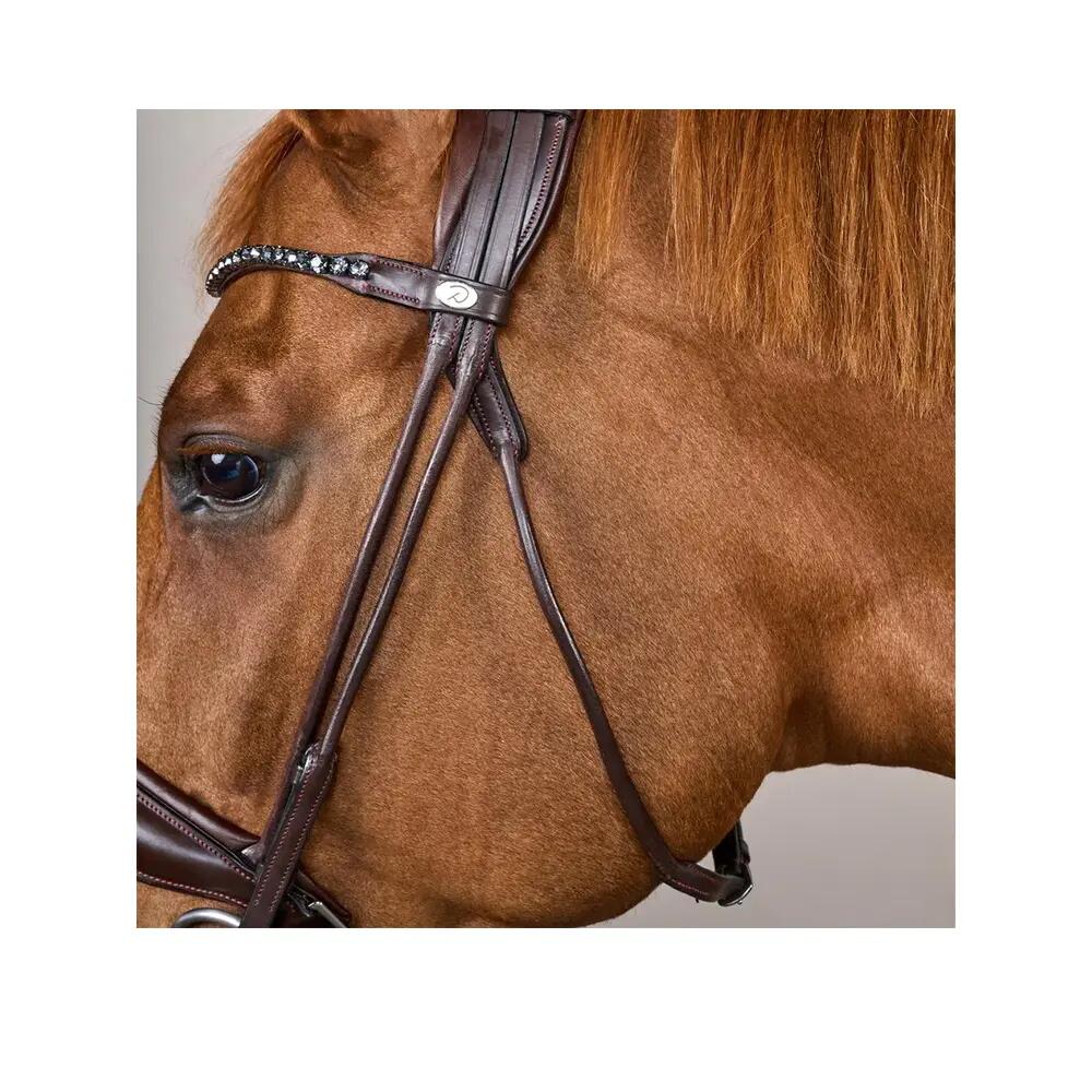 Bridon Dyon grote neusriem leer bruin 4/6