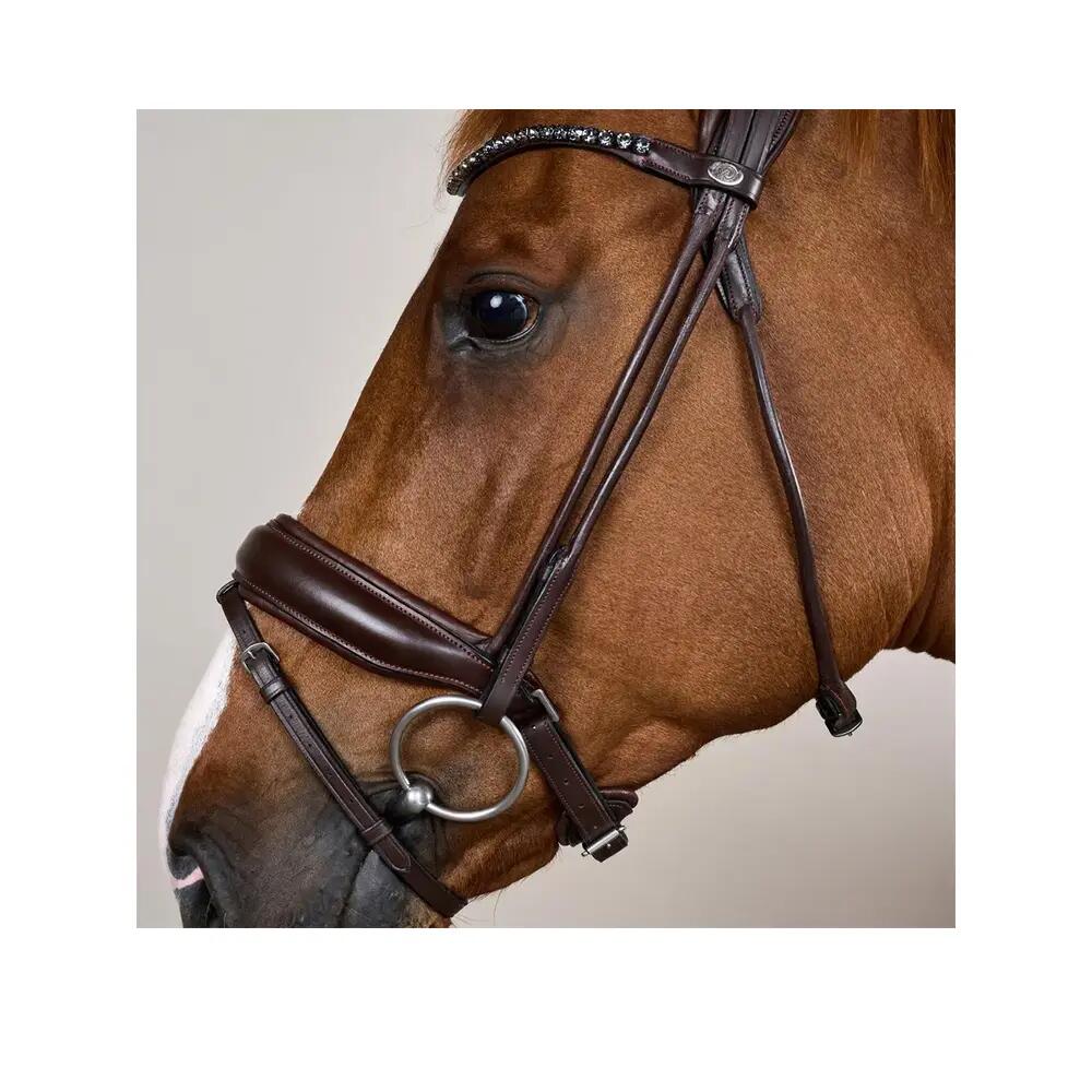Bridon Dyon grote neusriem leer bruin 3/6