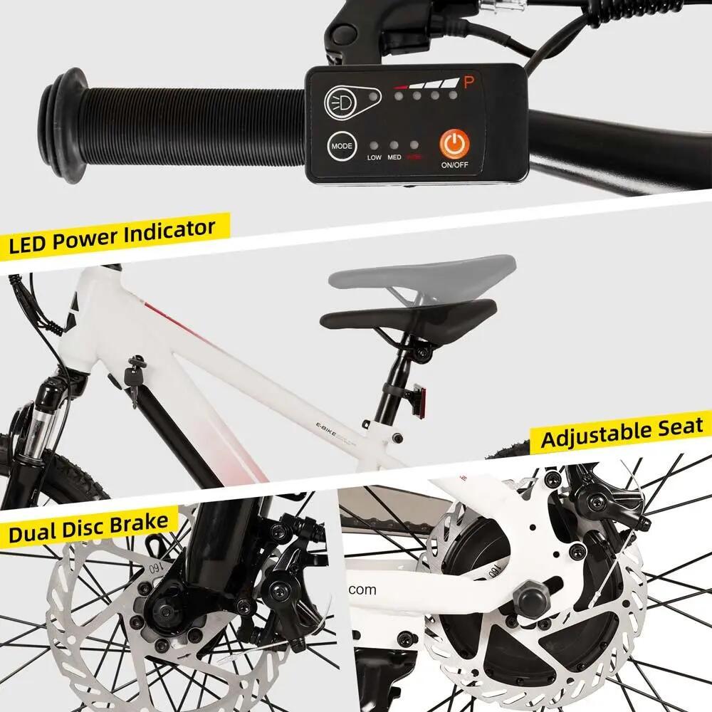 Kinder Jugendliche E-Mountainbike 20/24 Zoll 250W Akku 5/6