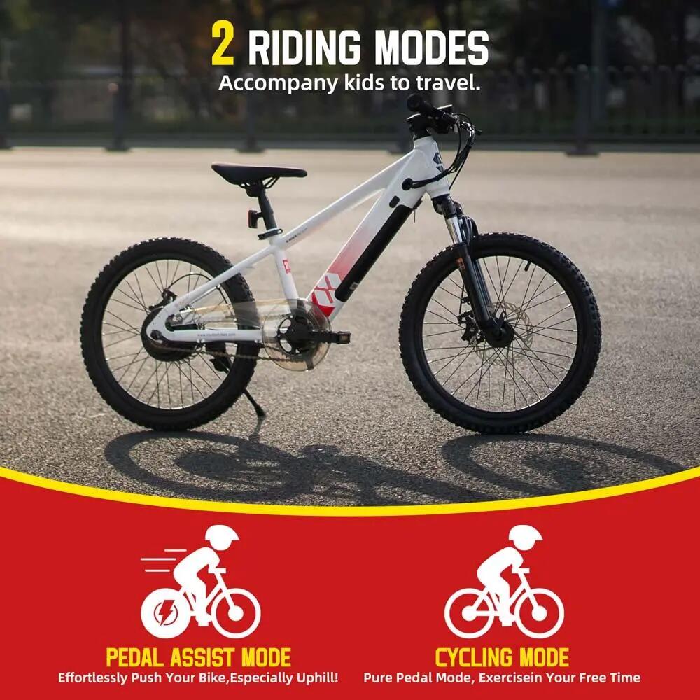Kinder Jugendliche E-Mountainbike 20/24 Zoll 250W Akku 4/6