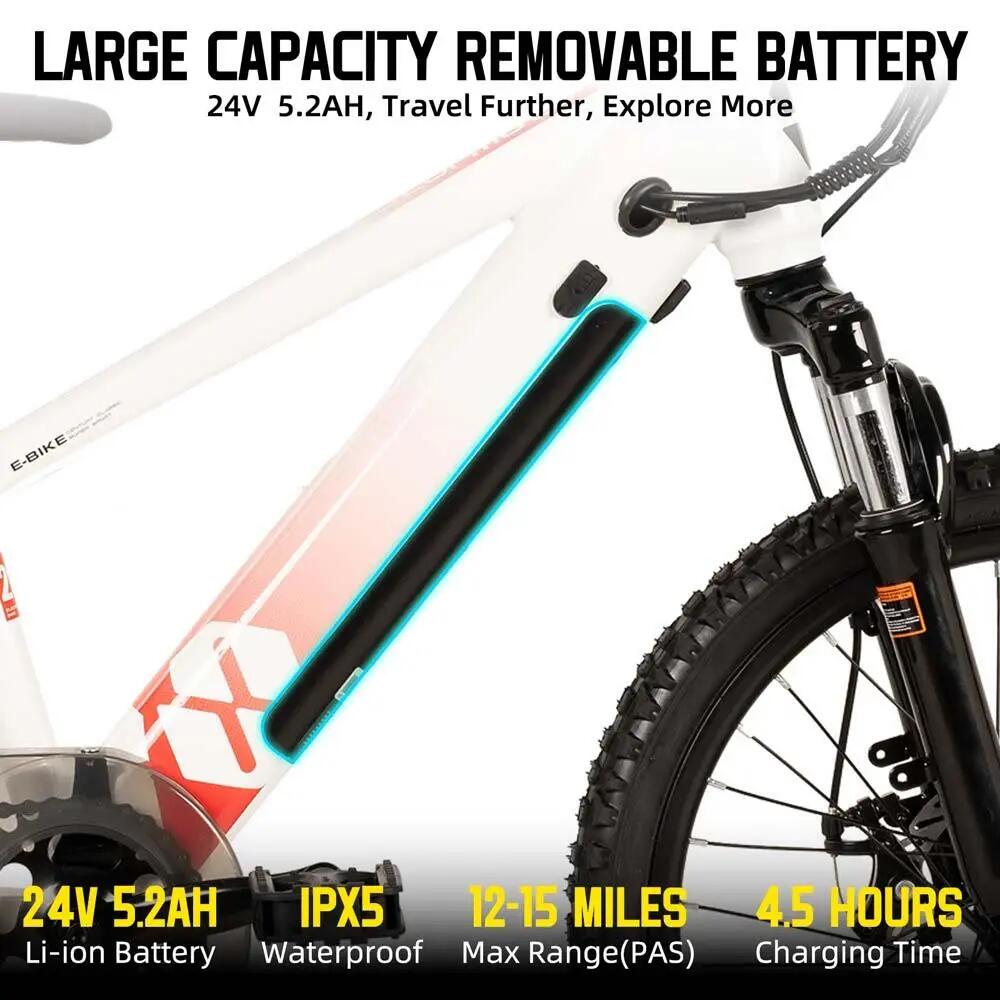 Kinder Jugendliche E-Mountainbike 20/24 Zoll 250W Akku 3/6