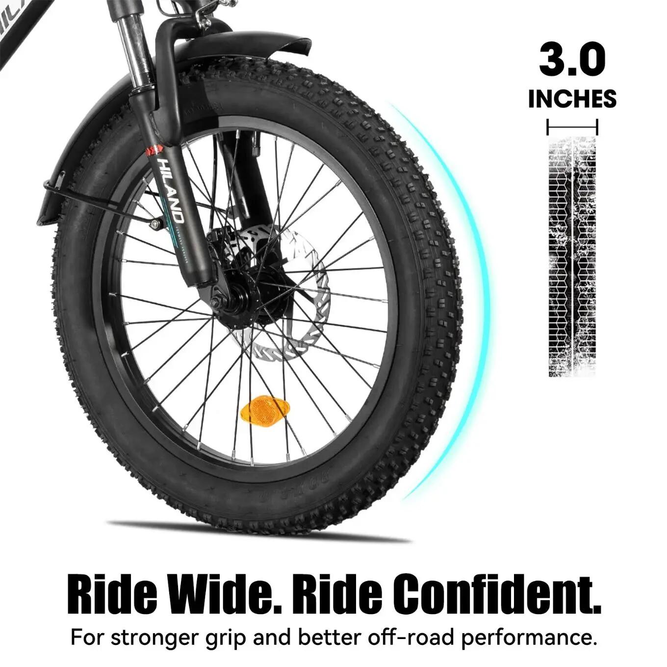 Dames Heren Fatbike 20 inch 7V 36V 13Ah Schijfremmen 4/7