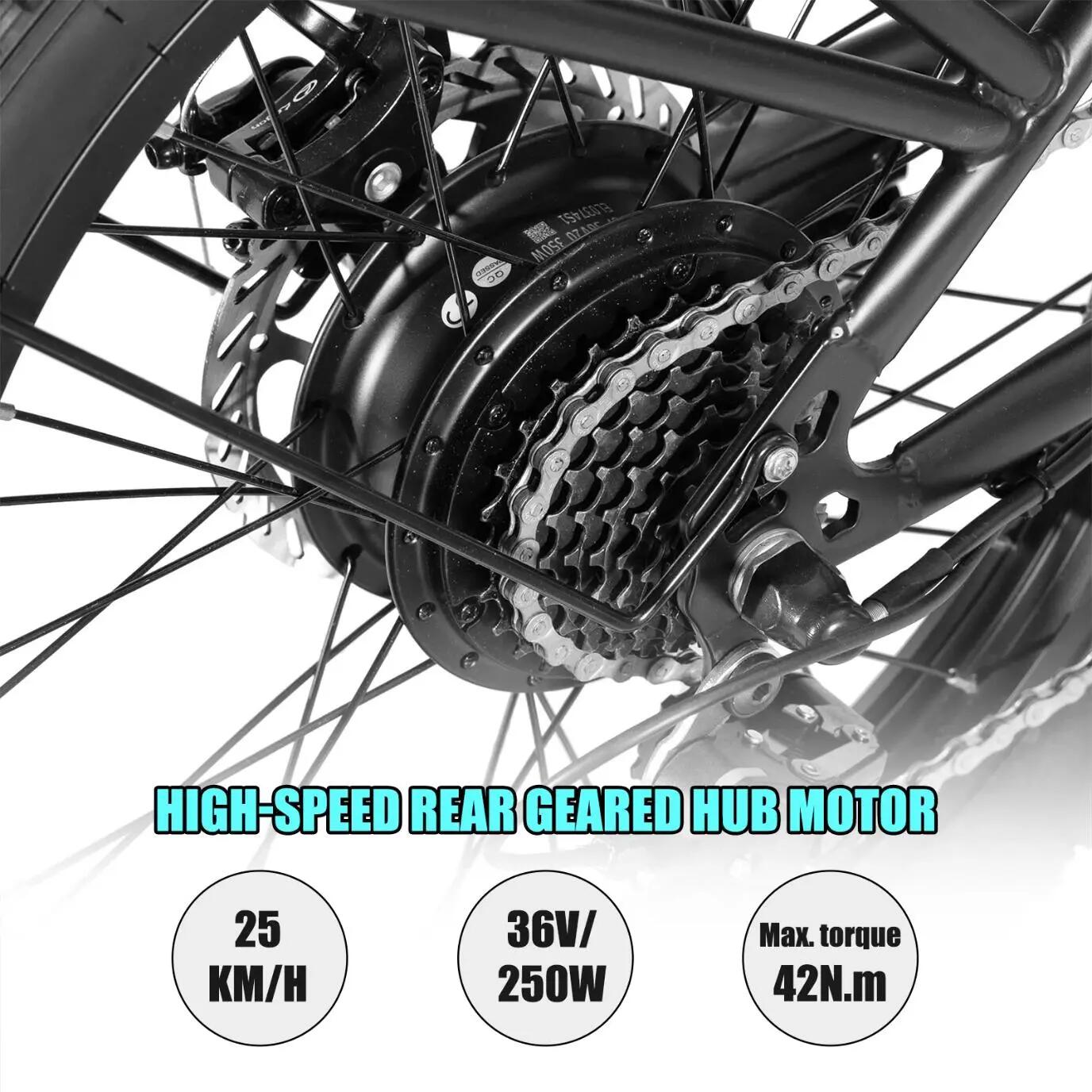 Dames Heren Fatbike 20 inch 7V 36V 13Ah Schijfremmen 3/7