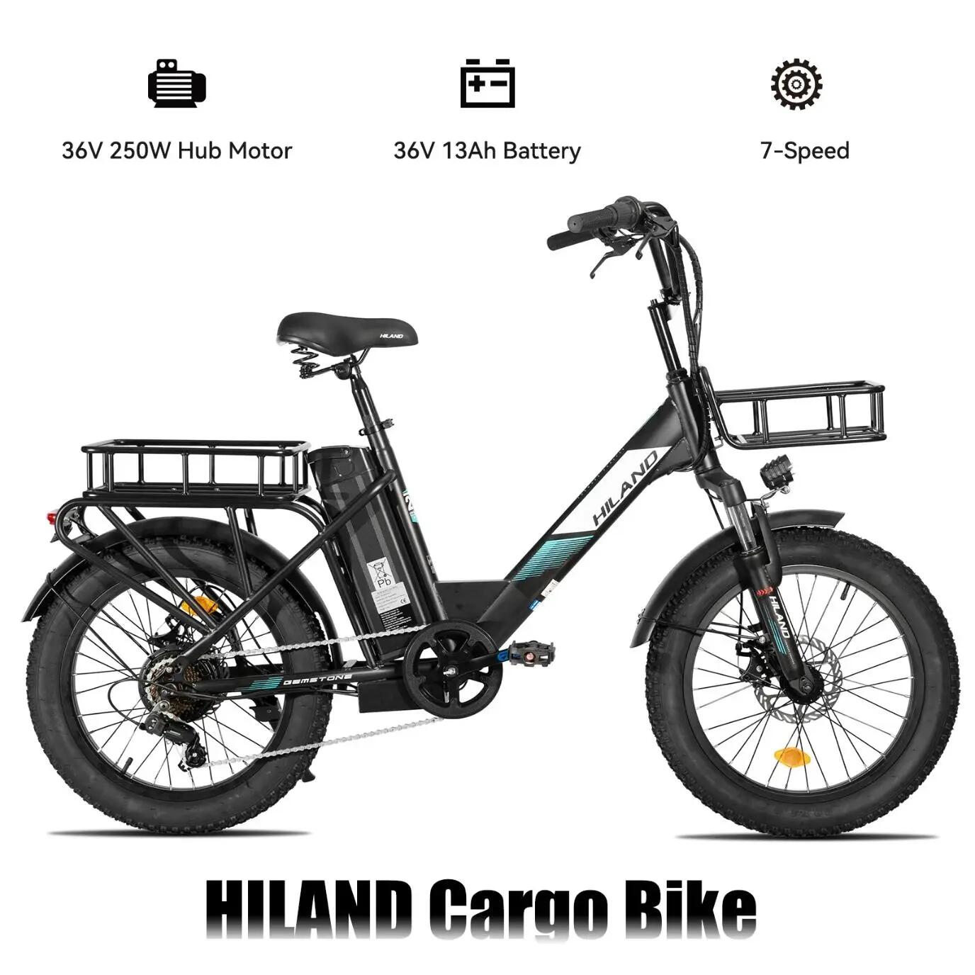 Dames Heren Fatbike 20 inch 7V 36V 13Ah Schijfremmen 2/7