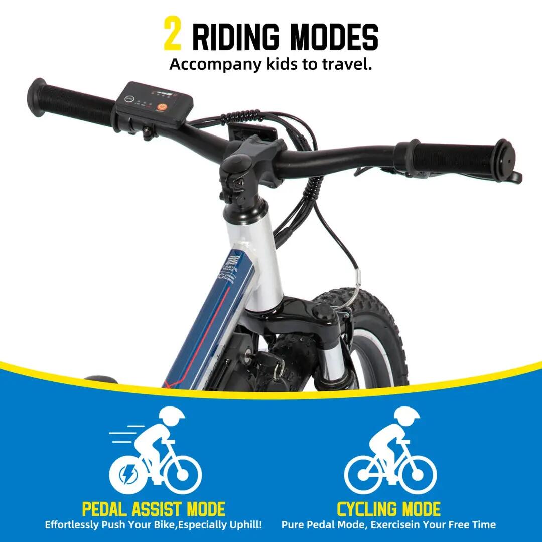 Kinder Jugendliche E-Mountainbike 20 Zoll 250W Akku 4/6