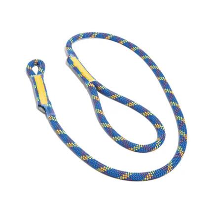 Longe simple Tendon Dynaprot