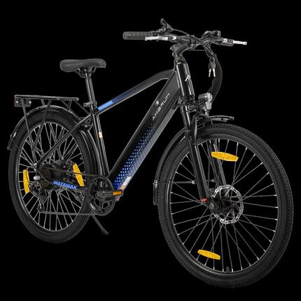 Dames Heren Elektrische Stadsfiets 26 inch 250W 36V 7V Schijfremmen